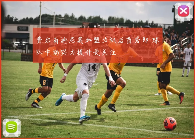 费尔南迪尼奥加盟力帆后首秀即 球队中场实力提升受关注